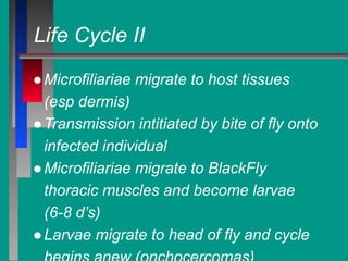 Life Cycle II
●Microfiliariae migrate to host tissues
(esp dermis)
●Transmission intitiated by bite of fly onto
infected individual
●Microfiliariae migrate to BlackFly
thoracic muscles and become larvae
(6-8 d’s)
●Larvae migrate to head of fly and cycle
 