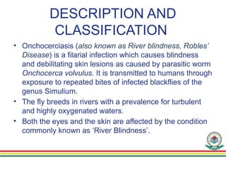 DESCRIPTION AND
CLASSIFICATION
• Onchocerciasis (also known as River blindness, Robles’
Disease) is a filarial infection which causes blindness
and debilitating skin lesions as caused by parasitic worm
Onchocerca volvulus. It is transmitted to humans through
exposure to repeated bites of infected blackflies of the
genus Simulium.
• The fly breeds in rivers with a prevalence for turbulent
and highly oxygenated waters.
• Both the eyes and the skin are affected by the condition
commonly known as ‘River Blindness’.
 