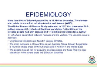 EPIDEMIOLOGY
More than 99% of infected people live in 31 African countries. The disease
also exists in some foci in Latin America and Yemen. (WHO)
The Global Burden of Disease Study estimated in 2017 that there were 20.9
million prevalent O. volvulus infections worldwide: 14.6 million of the
infected people had skin disease and 1.15 million had vision loss. (WHO)
O. volvulus is transmitted between humans and the vectors. The infection is not a
zoonosis.
• Onchocercal infections are found in tropical climates.
• The main burden is in 30 countries in sub-Saharan Africa, though the parasite
is found in limited areas in the Americas and in Yemen in the Middle East
• The people most at risk for acquiring onchocerciasis are those who live near
streams or rivers where there are Simulium blackflies
 