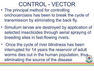 CONTROL - VECTOR
• The principal method for controlling
onchocerciasis has been to break the cycle of
transmission by eliminating the back fly.
• Simulium larvae are destroyed by application of
selected insecticides through aerial spraying of
breeding sites in fast-flowing rivers.
• Once the cycle of river blindness has been
interrupted for 14 years the reservoir of adult
worms dies out in the human population, thus
eliminating the source of the disease
 