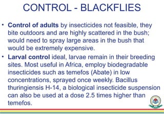 CONTROL - BLACKFLIES
• Control of adults by insecticides not feasible, they
bite outdoors and are highly scattered in the bush;
would need to spray large areas in the bush that
would be extremely expensive.
• Larval control ideal, larvae remain in their breeding
sites. Most useful in Africa, employ biodegradable
insecticides such as temefos (Abate) in low
concentrations, sprayed once weekly. Bacillus
thuringiensis H-14, a biological insecticide suspension
can also be used at a dose 2.5 times higher than
temefos.
 