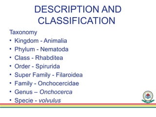 DESCRIPTION AND
CLASSIFICATION
Taxonomy
• Kingdom - Animalia
• Phylum - Nematoda
• Class - Rhabditea
• Order - Spirurida
• Super Family - Filaroidea
• Family - Onchocercidae
• Genus – Onchocerca
• Specie - volvulus
 
