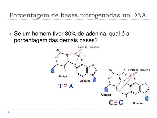 aula 1º ano ensino medio o nucleo dna