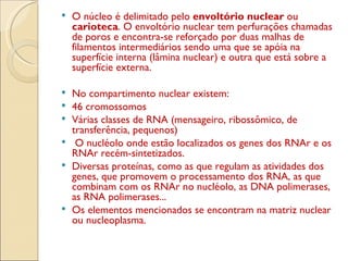 O núcleo é delimitado pelo  envoltório nuclear  ou  carioteca . O envoltório nuclear tem perfurações chamadas de poros e encontra-se reforçado por duas malhas de filamentos intermediários sendo uma que se apóia na superfície interna (lâmina nuclear) e outra que está sobre a superfície externa. No compartimento nuclear existem: 46 cromossomos Várias classes de RNA (mensageiro, ribossômico, de transferência, pequenos) O nucléolo onde estão localizados os genes dos RNAr e os RNAr recém-sintetizados. Diversas proteínas, como as que regulam as atividades dos genes, que promovem o processamento dos RNA, as que combinam com os RNAr no nucléolo, as DNA polimerases, as RNA polimerases... Os elementos mencionados se encontram na matriz nuclear ou nucleoplasma. 
