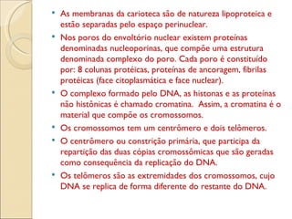 As membranas da carioteca são de natureza lipoproteica e estão separadas pelo espaço perinuclear. Nos poros do envoltório nuclear existem proteínas denominadas nucleoporinas, que compõe uma estrutura denominada complexo do poro. Cada poro é constituído por: 8 colunas protéicas, proteínas de ancoragem, fibrilas protéicas (face citoplasmática e face nuclear). O complexo formado pelo DNA, as histonas e as proteínas não histônicas é chamado cromatina.  Assim, a cromatina é o material que compõe os cromossomos. Os cromossomos tem um centrômero e dois telômeros. O centrômero ou constrição primária, que participa da repartição das duas cópias cromossômicas que são geradas como consequência da replicação do DNA. Os telômeros são as extremidades dos cromossomos, cujo DNA se replica de forma diferente do restante do DNA. 