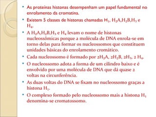 As proteínas histonas desempenham um papel fundamental no enrolamento da cromatina. Existem 5 classes de histonas chamadas H ₁, H₂A,H₂B,H₃ e H₄. A H₂A,H₂B,H₃ e H₄ levam o nome de histonas nucleossômicas porque a molécula de DNA enrola-se em torno delas para formar os nucleossomos que constituem unidades básicas do enrolamento cromático. Cada nucleossomo é formado por 2H₂A, 2H₂B, 2H₃, 2 H₄. O nucleossomo adota a forma de um cilindro baixo e é envolvido por uma molécula de DNA que dá quase 2 voltas na circunferência. As duas voltas do DNA se fixam no nucleossomo graças a histona H₁. O complexo formado pelo nucleossomo mais a histona H₁ denomina-se cromatossomo. 