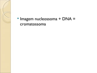 Imagem nucleossoma + DNA = cromatossoma 