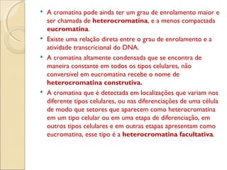 A cromatina pode ainda ter um grau de enrolamento maior e ser chamada de  heterocromatina , e a menos compactada  eucromatina . Existe uma relação direta entre o grau de enrolamento e a atividade transcricional do DNA. A cromatina altamente condensada que se encontra de maneira constante em todos os tipos celulares, não conversível em eucromatina recebe o nome de  heterocromatina construtiva. A   cromatina que é detectada em localizações que variam nos diferente tipos celulares, ou nas diferenciações de uma célula de modo que setores que aparecem como heterocromatina em um tipo celular ou em uma etapa de diferenciação, em outros tipos celulares e em outras etapas apresentam como eucromatina, esse tipo é a  heterocromatina facultativa . 