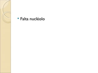 Falta nucléolo 