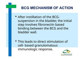 Onco-BCG FINAL Training Manual of the human body .pptx