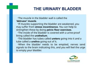 Onco-BCG FINAL Training Manual of the human body .pptx