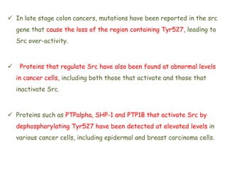  In late stage colon cancers, mutations have been reported in the src
gene that cause the loss of the region containing Tyr527, leading to
Src over-activity.
 Proteins that regulate Src have also been found at abnormal levels
in cancer cells, including both those that activate and those that
inactivate Src.
 Proteins such as PTPalpha, SHP-1 and PTP1B that activate Src by
dephosphorylating Tyr527 have been detected at elevated levels in
various cancer cells, including epidermal and breast carcinoma cells.
 