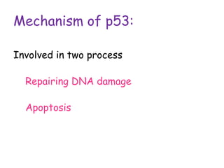 Mechanism of p53:
Involved in two process
Repairing DNA damage
Apoptosis
 