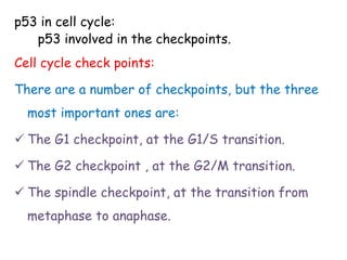 p53 in cell cycle:
p53 involved in the checkpoints.
Cell cycle check points:
There are a number of checkpoints, but the three
most important ones are:
 The G1 checkpoint, at the G1/S transition.
 The G2 checkpoint , at the G2/M transition.
 The spindle checkpoint, at the transition from
metaphase to anaphase.
 
