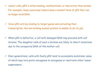  cancer cells, p53 is often missing, nonfunctional, or less active than normal.
For example, many cancerous tumors have a mutant form of p53 that can
no longer bind DNA.
 Since p53 acts by binding to target genes and activating their
transcription, the non-binding mutant protein is unable to do its job.
 When p53 is defective, a cell with damaged DNA may proceed with cell
division. The daughter cells of such a division are likely to inherit mutations
due to the unrepaired DNA of the mother cell.
 Over generations, cells with faulty p53 tend to accumulate mutations, some
of which may turn proto-oncogenes to oncogenes or inactivate other tumor
suppressors.
 