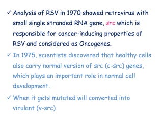  Analysis of RSV in 1970 showed retrovirus with
small single stranded RNA gene, src which is
responsible for cancer-inducing properties of
RSV and considered as Oncogenes.
 In 1975, scientists discovered that healthy cells
also carry normal version of src (c-src) genes,
which plays an important role in normal cell
development.
 When it gets mutated will converted into
virulant (v-src)
 