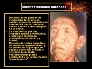 Manifestaciones cutáneas


• Después de un periodo de
  incubación de un año se
  pueden presentar episodios de
  dermatosis que se conocen
  que se conoce como erisipela
  de la costa.
• Se caracteriza por una
  erupción papulo eritematosa,
  pruriginosa localizada
  principalmente en cara y
  brazos.
• Después de varios episodios,
  se presenta engrosamiento y
  discromía de la piel que se
  conoce como mal morado o
  erisipela de la costa.
• Posteriormente pierde
  elasticidad y se vuelve flácida
  “cara de perro”
 