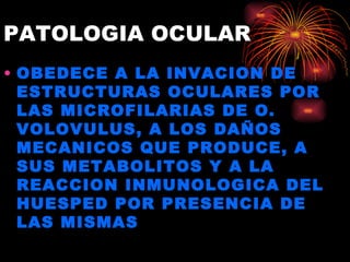 PATOLOGIA OCULAR
• OBEDECE A LA INVACION DE
  ESTRUCTURAS OCULARES POR
  LAS MICROFILARIAS DE O.
  VOLOVULUS, A LOS DAÑOS
  MECANICOS QUE PRODUCE, A
  SUS METABOLITOS Y A LA
  REACCION INMUNOLOGICA DEL
  HUESPED POR PRESENCIA DE
  LAS MISMAS
 