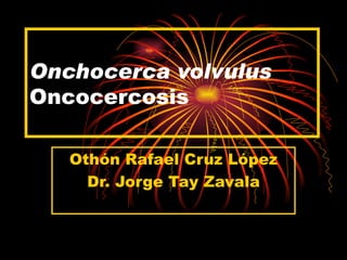 Onchocerca volvulus
Oncocercosis

   Othón Rafael Cruz López
     Dr. Jorge Tay Zavala
 