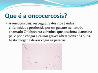 Que é a oncocercosis?
 A oncocercosis, ou cegueira dos ríos é unha
 enfermidade producida por un gusano nematodo
 chamado Onchocerca volvulus, que ocasiona danos na
 pel e pode chegar a causar graves alteracions nos ollos,
 hasta chegar a deixar cegas as persoas.
 