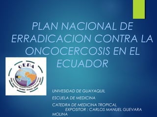 PLAN NACIONAL DE
ERRADICACION CONTRA LA
  ONCOCERCOSIS EN EL
       ECUADOR

      UNIVESIDAD DE GUAYAQUIL
      ESCUELA DE MEDICINA
      CATEDRA DE MEDICINA TROPICAL
           EXPOSITOR : CARLOS MANUEL GUEVARA
      MOLINA
 
