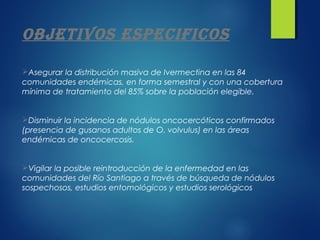 OBJETIVOS ESPECIFICOS

Asegurar la distribución masiva de Ivermectina en las 84
comunidades endémicas, en forma semestral y con una cobertura
mínima de tratamiento del 85% sobre la población elegible.

 
Disminuir la incidencia de nódulos oncocercóticos confirmados
(presencia de gusanos adultos de O. volvulus) en las áreas
endémicas de oncocercosis.

 
Vigilar la posible reintroducción de la enfermedad en las
comunidades del Río Santiago a través de búsqueda de nódulos
sospechosos, estudios entomológicos y estudios serológicos
 