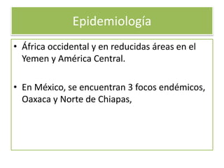 Epidemiología
• África occidental y en reducidas áreas en el
Yemen y América Central.
• En México, se encuentran 3 focos endémicos,
Oaxaca y Norte de Chiapas,

 