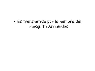 • Es transmitida por la hembra del
mosquito Anopheles.
 