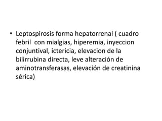 • Leptospirosis forma hepatorrenal ( cuadro
febril con mialgias, hiperemia, inyeccion
conjuntival, ictericia, elevacion de la
bilirrubina directa, leve alteración de
aminotransferasas, elevación de creatinina
sérica)
 