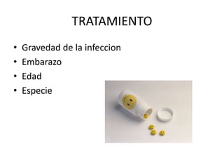 TRATAMIENTO
• Gravedad de la infeccion
• Embarazo
• Edad
• Especie
 