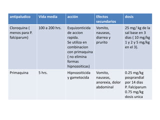 antipaludico Vida media acción Efectos
secundarios
dosis
Cloroquina (
menos para P.
falciparum)
100 a 200 hrs. Esquizonticida
de accion
rapida.
Se utiliza en
combinacion
con primaquina
( no elimina
formas
hipnozoiticas)
Vomito,
nauseas,
diarrea y
prurito
25 mg/ kg de la
sal base en 3
dias ( 10 mg/kg
1 y 2 y 5 mg/kg
en el 3).
Primaquina 5 hrs. Hipnozoiticida
y gametocida
Vomito,
nauseas,
anorexia, dolor
abdominal
0.25 mg/kg
posprandial
por 14 dias
P. Falciparum
0.75 mg/kg
dosis unica
 