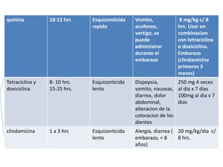 quinina 10-12 hrs Esquizonticida
rapido
Vomito,
acufenos,
vertigo, se
puede
administrar
durante el
embarazo
8 mg/kg c/ 8
hrs. Usar en
combinacion
con tetraciclina
o doxiciclina.
Embarazo
(clindamicina
primeros 3
meses)
Tetraciclina y
doxiciclina
8- 10 hrs.
15-25 hrs.
Esquizonticida
lento
Dispepsia,
vomito, nauseas,
diarrea, dolor
abdominal,
alteracion de la
coloracion de los
dientes
250 mg 4 veces
al dia x 7 dias
100mg al dia x 7
dias
clindamicina 1 a 3 hrs Esquizonticida
lento
Alergia, diarrea (
embarazo, < 8
años)
20 mg/kg/dia c/
8 hrs.
 