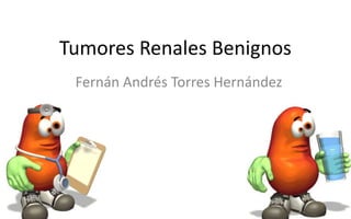 Tumores Renales Benignos
Fernán Andrés Torres Hernández
 