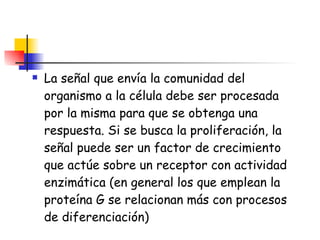 La señal que envía la comunidad del organismo a la célula debe ser procesada por la misma para que se obtenga una respuesta. Si se busca la proliferación, la señal puede ser un factor de crecimiento que actúe sobre un receptor con actividad enzimática (en general los que emplean la proteína G se relacionan más con procesos de diferenciación) 