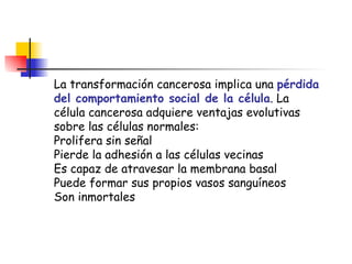 La transformación cancerosa implica una  pérdida del comportamiento social de la célula . La célula cancerosa adquiere ventajas evolutivas sobre las células normales:  Prolifera sin señal Pierde la adhesión a las células vecinas Es capaz de atravesar la membrana basal Puede formar sus propios vasos sanguíneos Son inmortales 