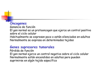 Oncogenes Ganancia de función El gen normal es un protooncogen que ejerce un control positivo sobre el ciclo celular Habitualmente se expresan poco o están silenciados en adultos Normalmente se expresa en determinados tejidos Genes supresores tumorales Pérdida de función El gen normal ejerce un control negativo sobre el ciclo celular Normalmente están encendidos en adultos pero pueden suprimirse en algún tejido específico 