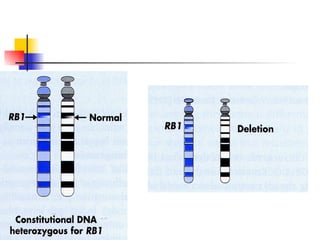 Mechanism 1 most common 