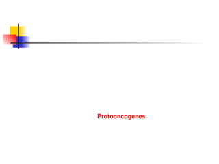 Protooncogenes 