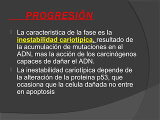 PROGRESIÓN
 La caracteristica de la fase es la
inestabilidad cariotípica, resultado de
la acumulación de mutaciones en el
ADN, mas la acción de los carcinógenos
capaces de dañar el ADN.
 La inestabilidad cariotípica depende de
la alteración de la proteina p53, que
ocasiona que la celula dañada no entre
en apoptosis
 