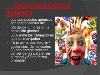 CARCINOGÉNESIS
QUÍMICA
 Los compuestos químicos
son responsables de:
 5% de los tumores en la
población general
 30% entre los trabajadores
que los manipulen
 En la actualidad hay 107
sustancias, de las cuales
39 han demostrado ser
cancerígenas para el ser
humano y 68 de forma
probable.
 