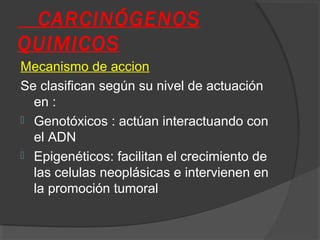 CARCINÓGENOS
QUIMICOS
Mecanismo de accion
Se clasifican según su nivel de actuación
en :
 Genotóxicos : actúan interactuando con
el ADN
 Epigenéticos: facilitan el crecimiento de
las celulas neoplásicas e intervienen en
la promoción tumoral
 