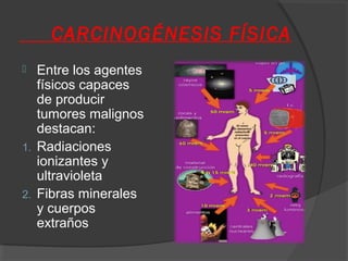 CARCINOGÉNESIS FÍSICA
 Entre los agentes
físicos capaces
de producir
tumores malignos
destacan:
1. Radiaciones
ionizantes y
ultravioleta
2. Fibras minerales
y cuerpos
extraños
 