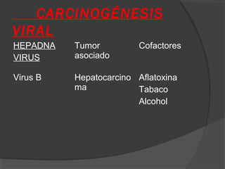 CARCINOGÉNESIS
VIRAL
HEPADNA
VIRUS
Tumor
asociado
Cofactores
Virus B Hepatocarcino
ma
Aflatoxina
Tabaco
Alcohol
 