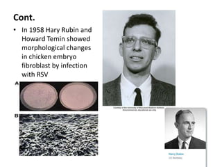 Cont.
• In 1958 Hary Rubin and
Howard Temin showed
morphological changes
in chicken embryo
fibroblast by infection
with RSV
 