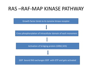 RAS –RAF-MAP KINASE PATHWAY
Growth factor binds to its tyrosine kinase receptor
Cross phosphorylation of intracellular domain of each monomers
Activation of bridging protein (GRB2,SOS)
GDP bound RAS exchanges GDP with GTP and gets activated
 