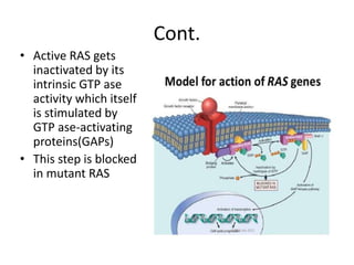 Cont.
• Active RAS gets
inactivated by its
intrinsic GTP ase
activity which itself
is stimulated by
GTP ase-activating
proteins(GAPs)
• This step is blocked
in mutant RAS
 