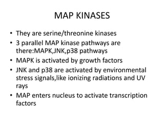 MAP KINASES
• They are serine/threonine kinases
• 3 parallel MAP kinase pathways are
there:MAPK,JNK,p38 pathways
• MAPK is activated by growth factors
• JNK and p38 are activated by environmental
stress signals,like ionizing radiations and UV
rays
• MAP enters nucleus to activate transcription
factors
 