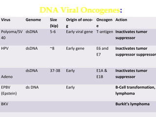 Virus Genome Size
(kip)
Origin of onco-
g
Oncogen
e
Action
Polyoma/SV
40
dsDNA 5-6 Early viral gene T-antigen Inactivates tumor
suppressor
HPV dsDNA ~8 Early gene E6 and
E7
Inactivates tumor
suppressor suppressor
Adeno
dsDNA 37-38 Early E1A &
E1B
Inactivates tumor
suppressor
EPBV
(Epstein)
ds DNA Early B-Cell transformation,
lymphoma
BKV Burkit’s lymphoma
DNA Viral Oncogenes:
 