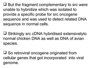  But the fragment complementary to src were
unable to hybridize which was isolated to
provide a specific probe for src oncogene
sequence and was used to detect related DNA
sequence in normal cells.
 Strikingly src cDNA hybridised extensivelyto
normal chicken DNA as well as DNA of avian
species.
 So retroviral oncogene originated from
cellular genes that got incorporated into viral
genome.
 