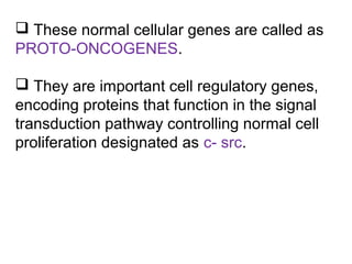  These normal cellular genes are called as
PROTO-ONCOGENES.
 They are important cell regulatory genes,
encoding proteins that function in the signal
transduction pathway controlling normal cell
proliferation designated as c- src.
 